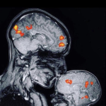 Familias ConCiencia los bebés transforman el cerebro de la madre